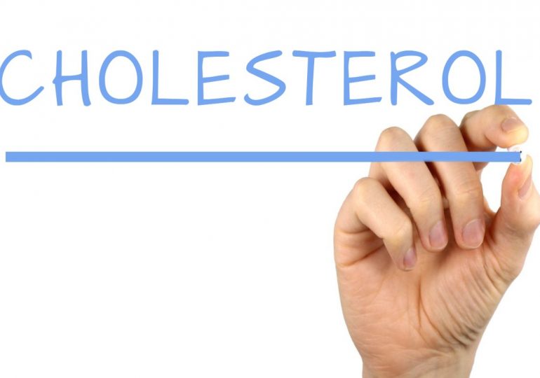 콜레스테롤 수치와 LDL 콜레스테롤
